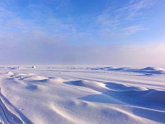 Белое безмолвие Белое безмолвие